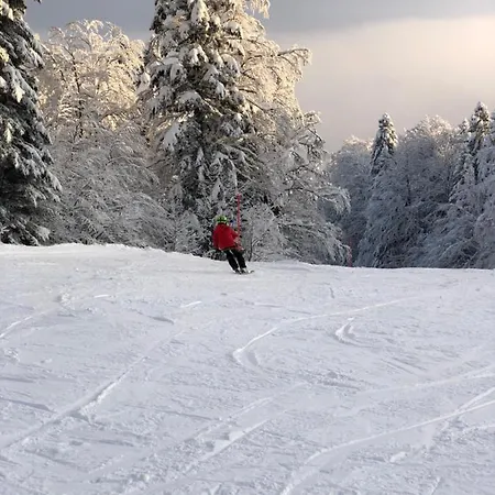 Winter Dream